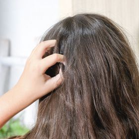 Shampoo solido " Piccole Teste", contro la comparsa di parassiti - 70g - Lamazuna