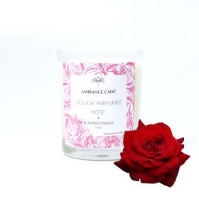 Cade Öl-Kerze, Duft Rose - 400g, ca. 45h - Ambiance Cade
