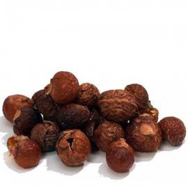 Indische Bio Waschnuss, Waschnüsse - 6 Kilo !