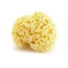 Spugna marina mediterranea naturale - Diametro 12 cm - Karawan
