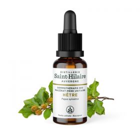 Madre-macerato biologico (glicerina) di gemme di Faggio - 30ml - Saint-Hilaire