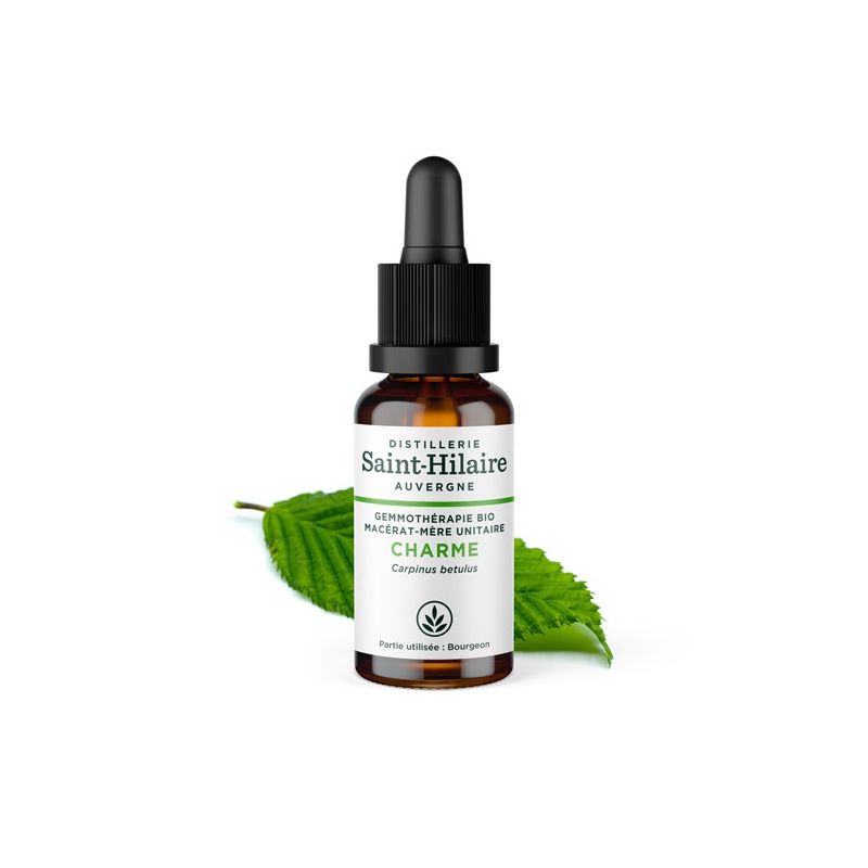 Bio-Hainbuchenknospe Muttermazerat (Glyzerin) - 30ml - Saint-Hilaire