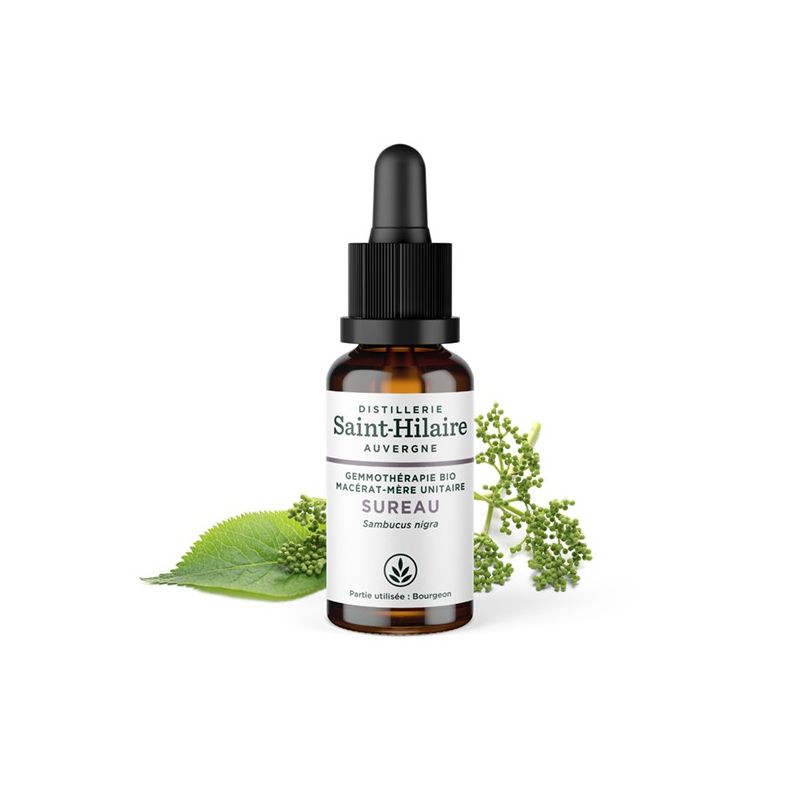 Bio-Holunderblütenknospe Muttermazerat (Glyzerin) - 30ml - Saint-Hilaire