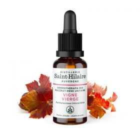 Macérat-mère glycériné BIO de bourgeon de Vigne Vierge - 30ml - Saint-Hilaire