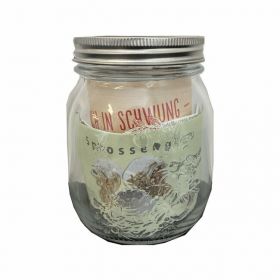 Glaskeimglas (750ml) für Keimsaat - 1 Stück - De Bardo