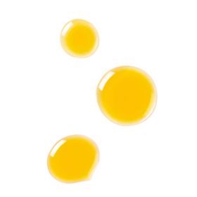 Huile Equilibrante Bio Visage - Régule & harmonise les peaux grasses - 18ml - Dr. Hauschka