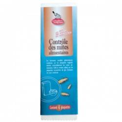 Anti Moot ökologischen (Lebensmittelmotten) - 5 Platten - Die ökologische Drogerie