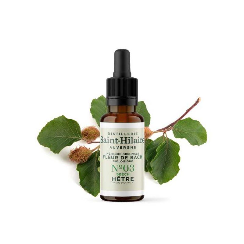 Fleurs de Bach BIO "Méthode original", N° 3, Hêtre, Beech (Fagus sylvatica) - 20ml - Saint-Hilaire