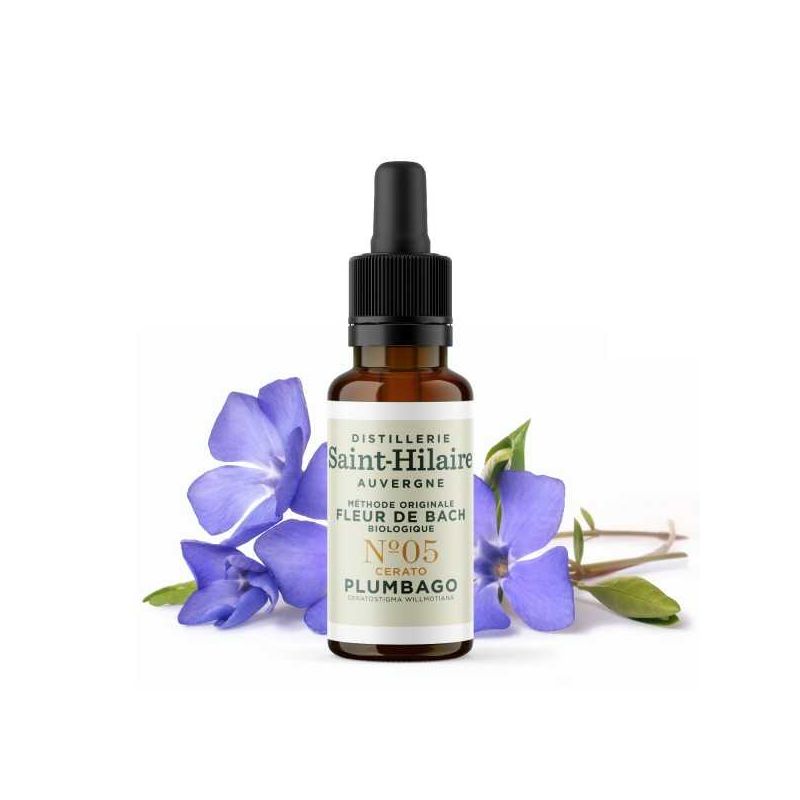Fleurs de Bach BIO "Méthode original", N° 5, Plumbago, Cerato (Ceratostigma willmotiana) - 20ml - Saint-Hilaire
