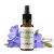 Fiori di Bach BIO "Metodo originale", N° 5, Piombo, Cerato (Ceratostigma willmotiana) - 20ml - Saint-Hilaire