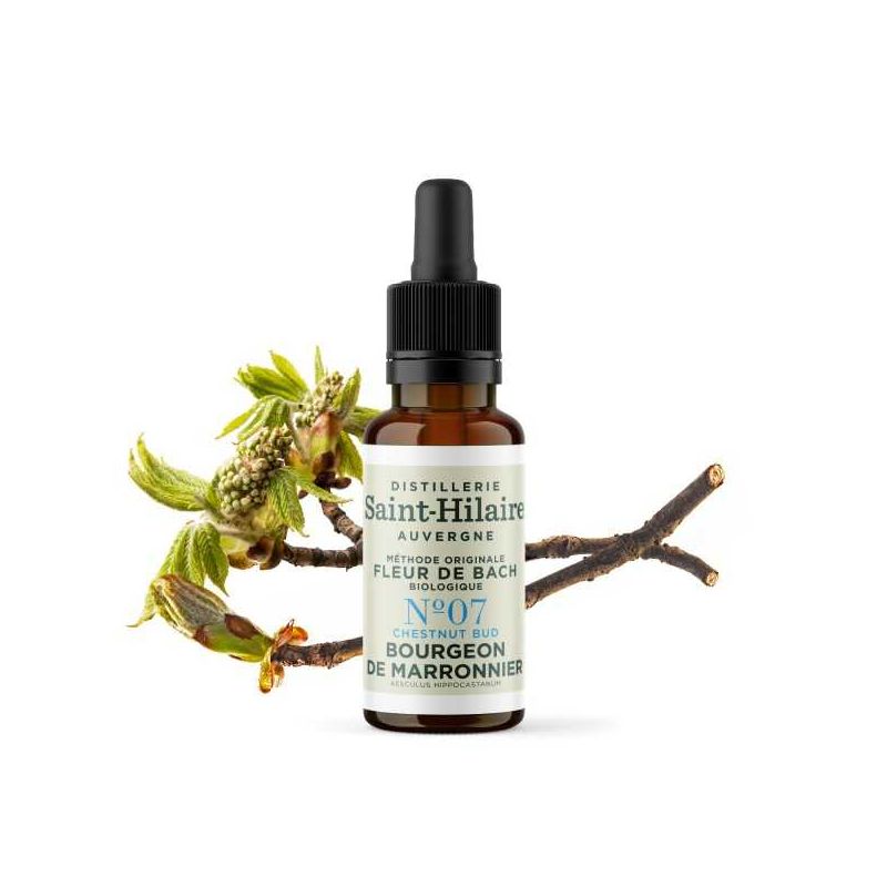 Bachblüten BIO "Original Methode", Nr. 7, Kastanienknospe, Chestnut Bud (Aesculus hippocastanum) - 20ml - Saint-Hilaire