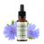 Bachblüten BIO "Original Methode", Nr. 8, Zichorie, Chicory (Cichorium intybus) - 20ml - Saint-Hilaire