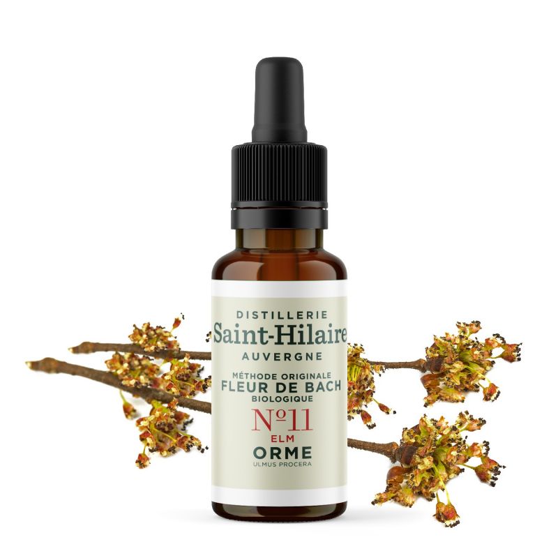 Bachblüten BIO "Original Methode", Nr. 11, Ulme, Elm (Ulmus procera) - 20ml - Saint-Hilaire