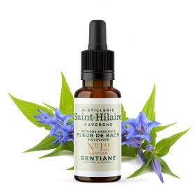 Bachblüten BIO "Original Methode", Nr. 12, Enzian, Gentian (Gentiana amarella) - 20ml - Saint-Hilaire
