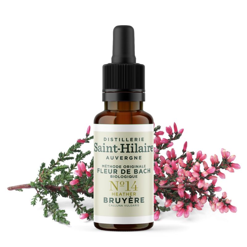 Fleurs de Bach BIO "Méthode original", N° 14, Bruyère, Heather (Calluna vulgaris) - 20ml - Saint-Hilaire