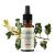 Fleurs de Bach BIO "Méthode original", N° 15, Houx, Holly (Ilex aquifolium) - 20ml - Saint-Hilaire