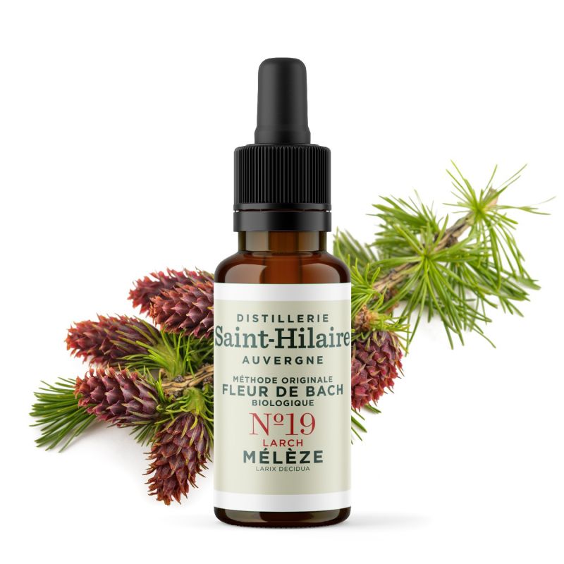 Bachblüten BIO "Original Methode", Nr. 19, Lärche, Larch (Larix decidua) - 20ml - Saint-Hilaire