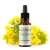 Fiori di Bach BIO "Metodo originale", N° 21, Senape, Mustard (Sinapis arvensis) - 20ml - Saint-Hilaire