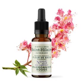 Bachblüten BIO "Original Methode", Nr. 25, Rotblühende Rosskastanie, Red Chestnut (Aesculus carnea) - 20ml - Saint-Hilaire
