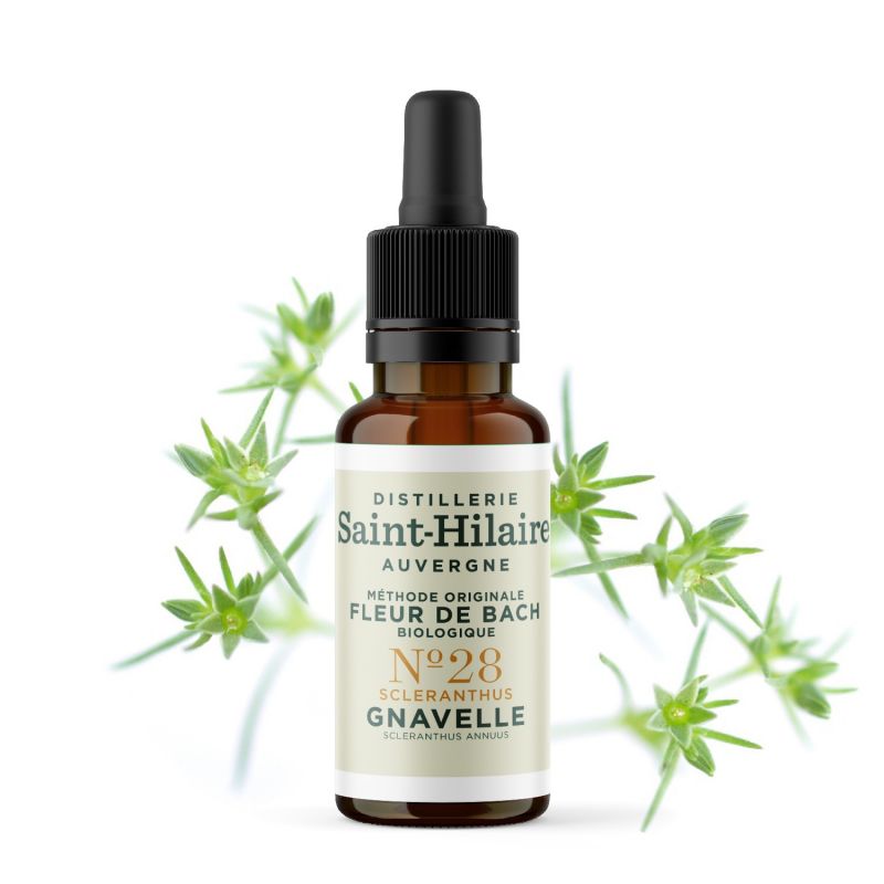 Bachblüten BIO "Original Methode", Nr. 28, Einjähriger Knäuel, Scleranthus (Scleranthus annuus) - 20ml - Saint-Hilaire