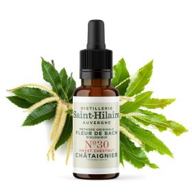 Bachblüten BIO "Original Methode", Nr. 30, Edelkastanie, Sweet Chestnut (Castanea sativa) - 20ml - Saint-Hilaire