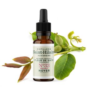 Fleurs de Bach BIO "Méthode original", N° 33, Noyer, Walnut (Juglans regia) - 20ml - Saint-Hilaire