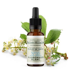 Bachblüten BIO "Original Methode", Nr. 35, Weisse Rosskastanie, White Chestnut (Aesculus hippocastanum) - 20ml - Saint-Hilaire