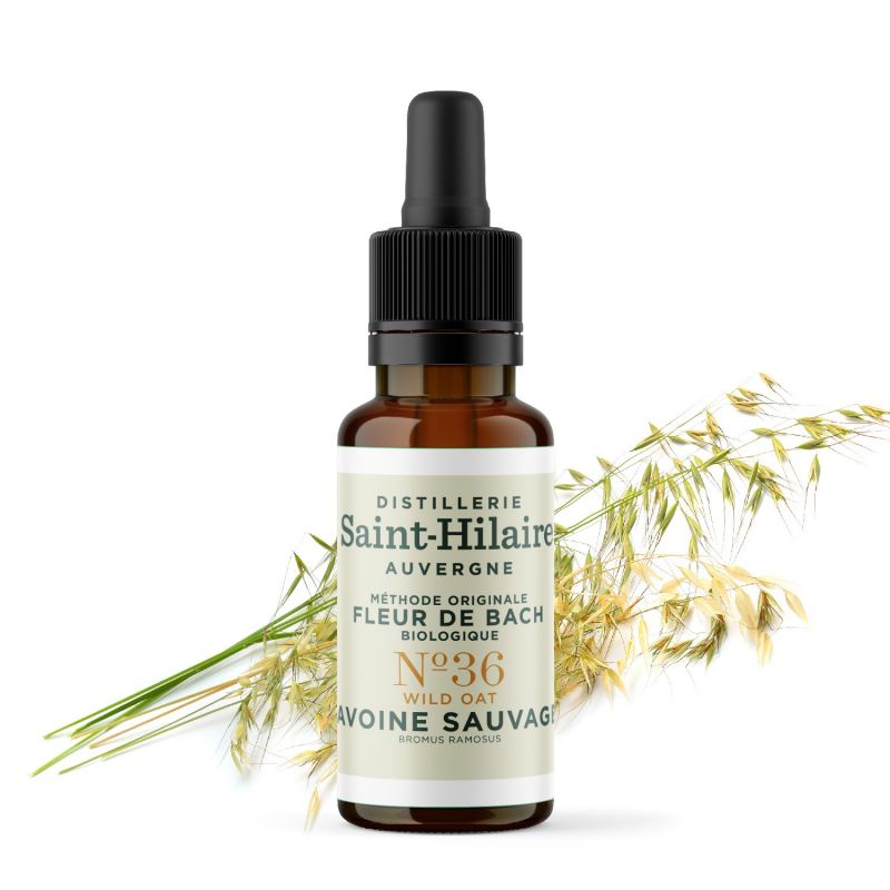 Fleurs de Bach BIO "Méthode original", N° 36, Avoine Sauvage, Wild Oat (Bromus ramosus) - 20ml - Saint-Hilaire