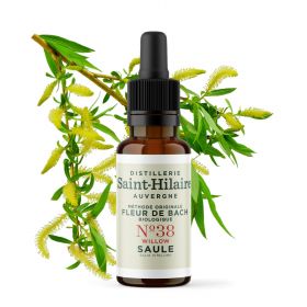 Fleurs de Bach BIO "Méthode original", N° 38, Saule, Willow (Salix vitellina) - 20ml - Saint-Hilaire