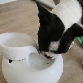 Fontana d'acqua in ceramica bianca - "Toby" Sombre & Moderne - Zen'Light