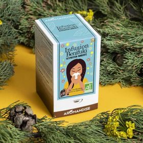 Benifuki-Tee zur Atemwegs- und Immununterstützung - 18 Beutel - Aromandise
