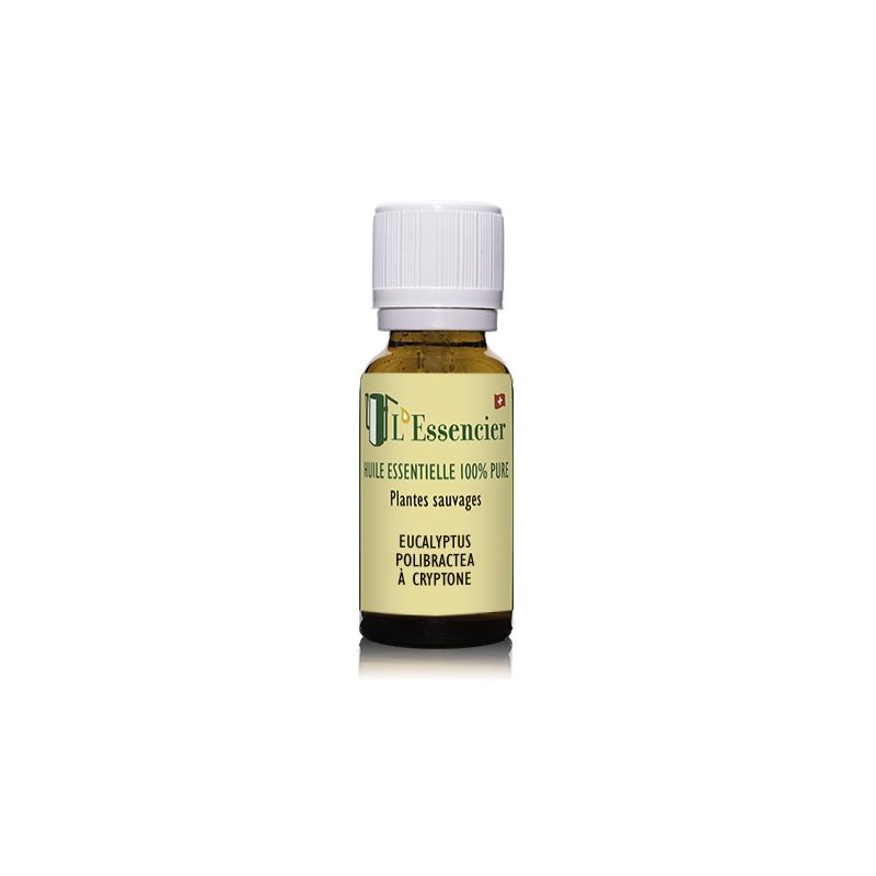 Ätherisches Öl Eucalyptus polibractea BIO aus Korsika, 100% rein - 5ml - L'essencier