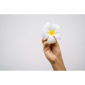 Bio-Creme Deodorant mit Bikarbonat, Frangipani  - 60g - Curenat