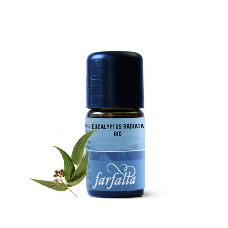 Olio Essenziale Bio - Eucalipto radiata Bio- 5ml  - Farfalla