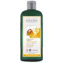Brillare Shampoo Bio, Argan - 250ml - Logona