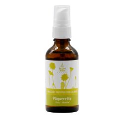 BIO-Ölige Mazerat von Gänseblümchen - 50ml - De Saint Hilaire