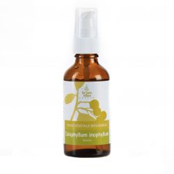 Pflanzliche Bio-Calophyllum inophylum - 50ml - De Saint Hilaire