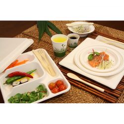 Assiettes/Plats carrés compostables à usage uniques en canne à sucre, 26 x 26cm - 10pces - Be Pulp