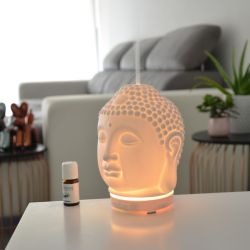 Diffusor für ätherische Öle, Ultraschall - AMIDA - ZEN'Arôme