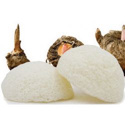 Spugna naturale al 100% in Konjac - Soprattutto per gli occhi - Sun & Sia