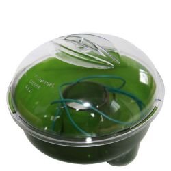 Ökologische zweifarbige Wespen- und Hornistenfalle - 2,4 L - Protecta