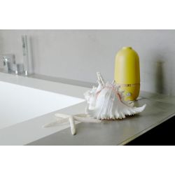 Diffuseur d'huiles essentielles par nébulisation, BO Lemon by Ekobo - Innobiz