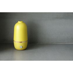 Diffusor von ätherischen Ölen durch Vernebelung, BO Lemon von Ekobo - Innobiz