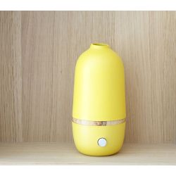 Diffusor von ätherischen Ölen durch Vernebelung, BO Lemon von Ekobo - Innobiz