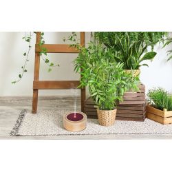 Diffusore ad ultrasuoni per olio essenziale, ELIA - Innnobiz