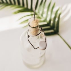 Set de brosses à bouteilles en sisal - 4pces de 4 tailles - Bambaw