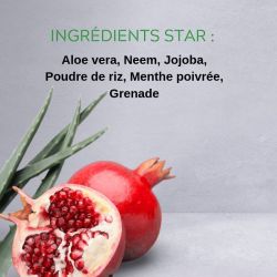 PERFECT & MAT, 3 in 1 Perfector Care, für junge Männer - 50ml - ManEtik