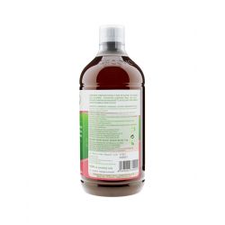 Silicium G5 Original, assimilation maximale - 1000ml - Silicium Laboratories (Loïc Le Ribault)