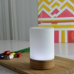 Diffusor für ätherische Öle, Ultraschall - FELISIA - ZEN'Arôme