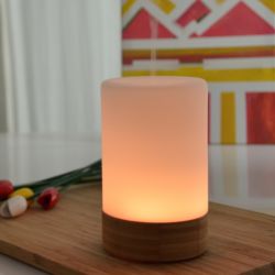 Diffusor für ätherische Öle, Ultraschall - FELISIA - ZEN'Arôme